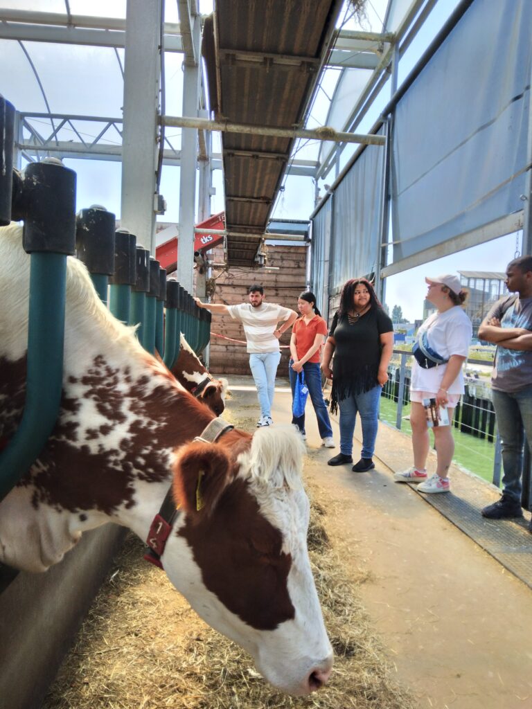 Bezoek: drijvende boerderij 🐮🥕 20240729 145814